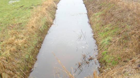Omgevingsvisie Hollands Kroon